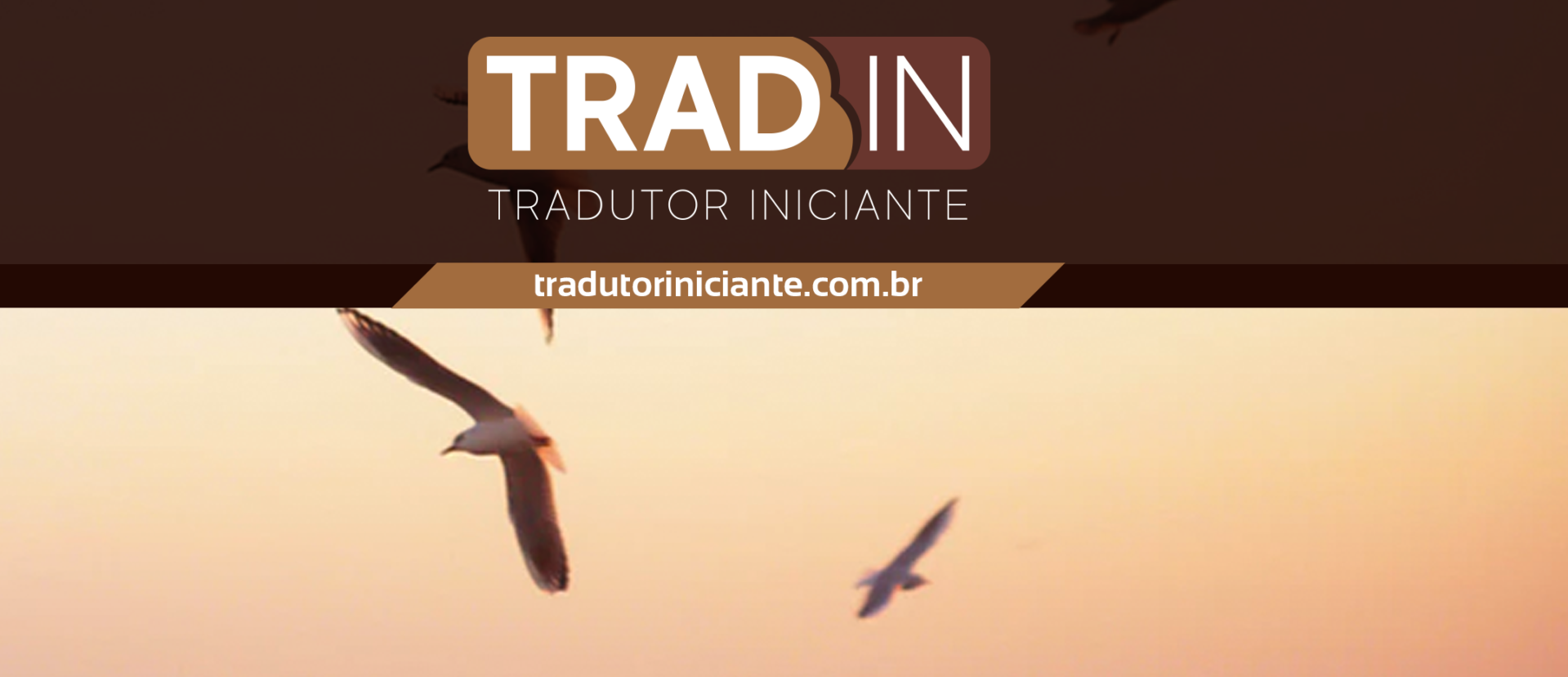 Tradutor Iniciante